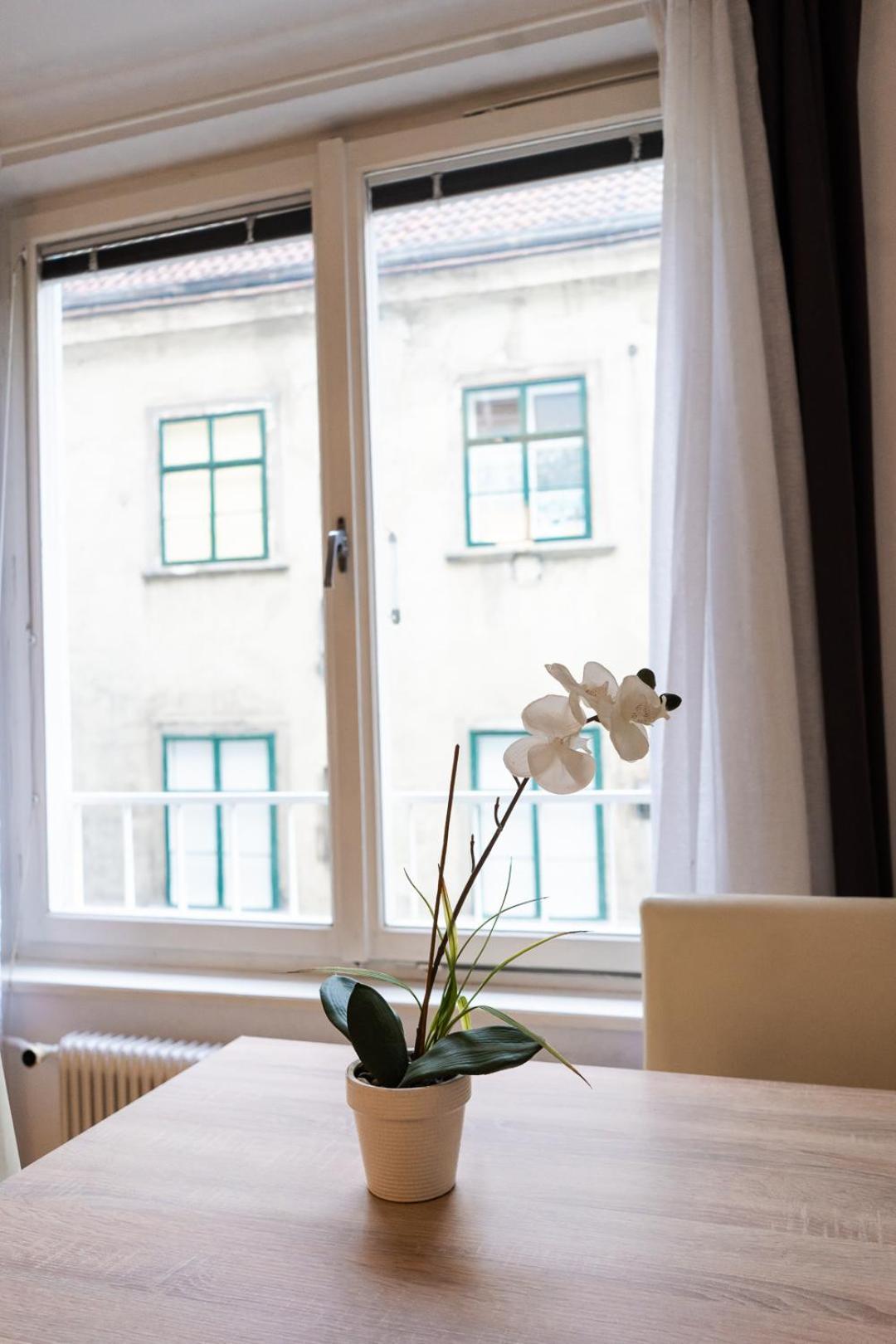 Appartement Living - Stephansdom Vienne